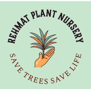 Save Trees Save Life